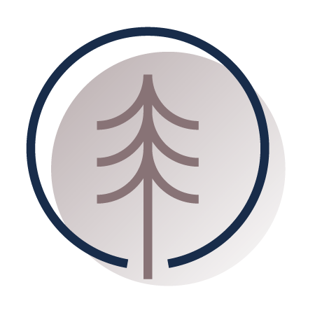 Icon-Seed-Stage-to-LBO